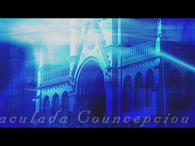 Holy Rosary From Lourdes - 2025-06-14