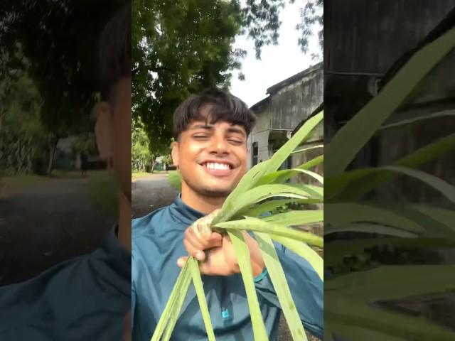 The Shocking Truth Behind My New Haircut #minivlog #shorts #trending #ashortaday #youtubeshort