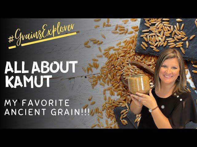 Why is kamut my favorite? | All about kamut/khorasan | Ancient Grain| Grains Explorer Challenge 2024