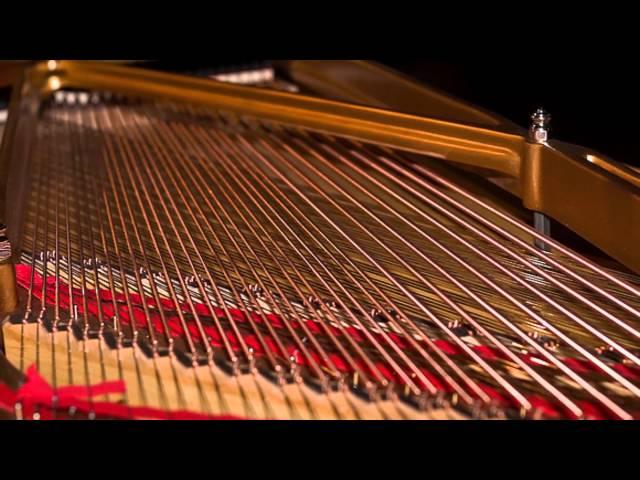 Roland Digital Piano — String Resonance