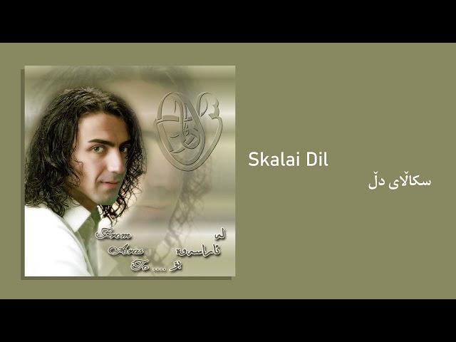 Aras Koyi - Skalai Dil (Official Audio)