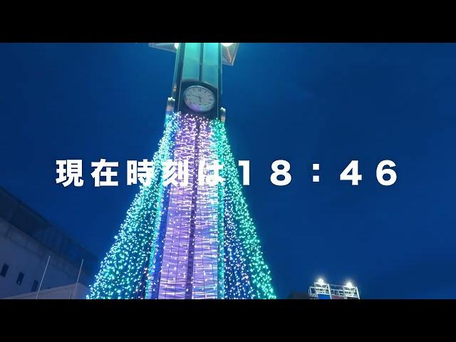 優しいあかりが心を和ませてくれますね！／iPhone 16 Pro Vlog（2024年12月23日月曜日）