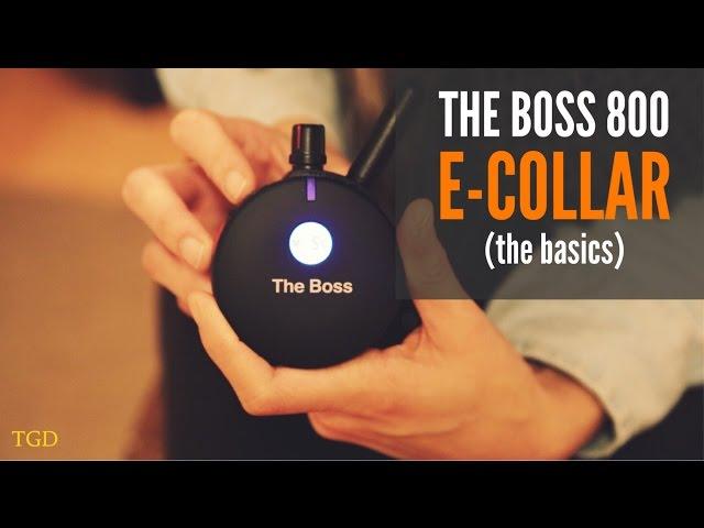 E-Collar Technologies The Boss 800 Set Up