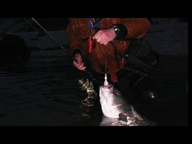 Surf Fishing with John Skinner : "Fishing the Bucktail"