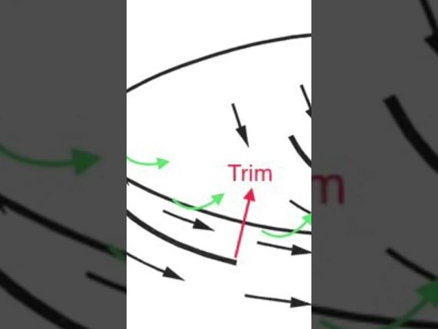 Sail Trim Explained in 40 Seconds!!!