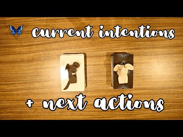 ️ THEIR CURRENT INTENTIONS TOWARDS YOU + NEXT ACTIONS ️️‍🩹 Timeless Tarot Reading 