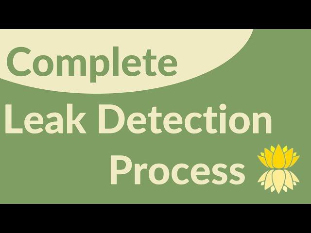 Complete Leak Detection Process (CLDP) by Pondscapes of Charlotte