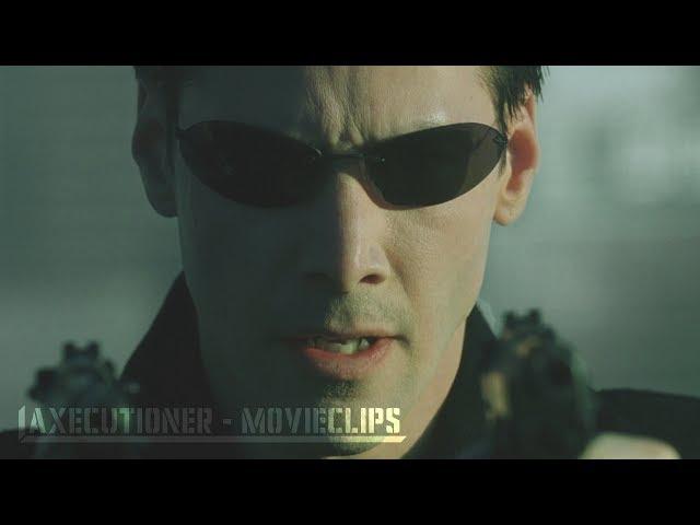 The Matrix |1999| All Fight Scenes [Edited]