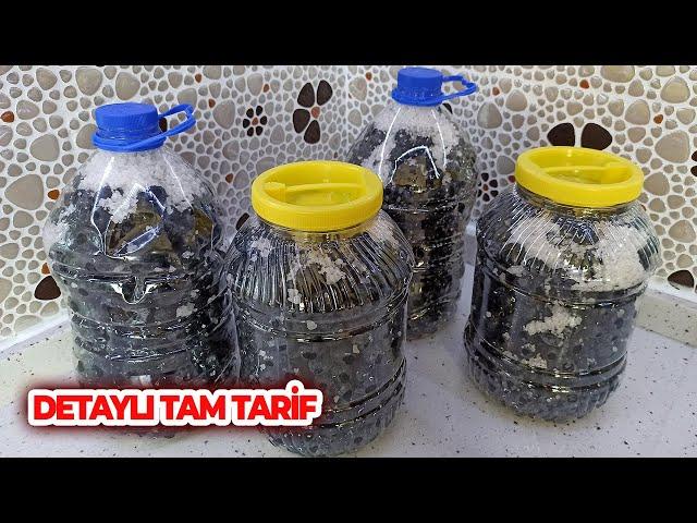 5 Litrelik Damacanada Siyah Zeytin Nasıl Kurulur ve Tatlandırılır ? Tüm Detaylarıyla