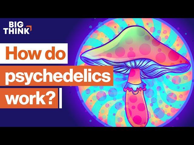 Psychedelics: The scientific renaissance of mind-altering drugs | Sam Harris, Michael Pollan & more