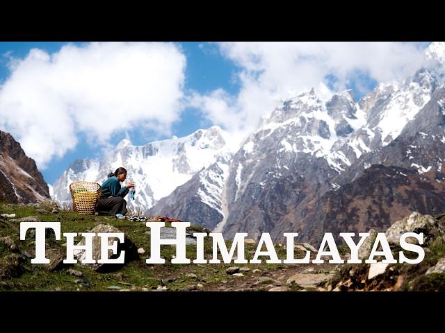 Monsoon in the HIMALAYAS: Manaslu Circuit Trek | MAY 2024 | Nepal