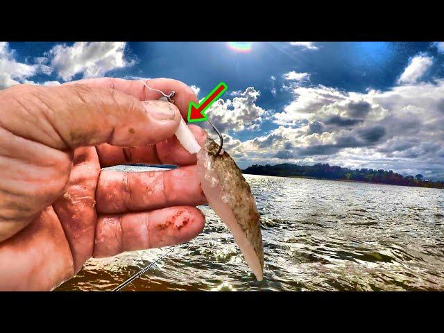 If You Like To Eat Catfish - A Simple Way To Catch Them With Jigs!