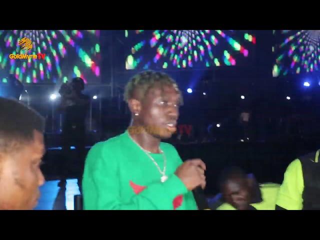 ZLATAN PERFORMS DIFFERENT TUNES AND GETS FAN DAZED AT GREATER LAGOS CONCERT