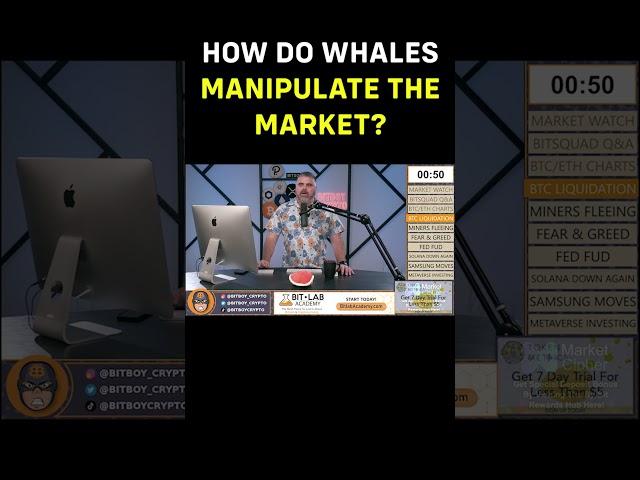 HOW DO WHALES MANIPULATE THE MARKET? #shorts