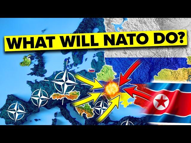 Will NATO Enter Ukraine Now That North Korea Fights for Russia?