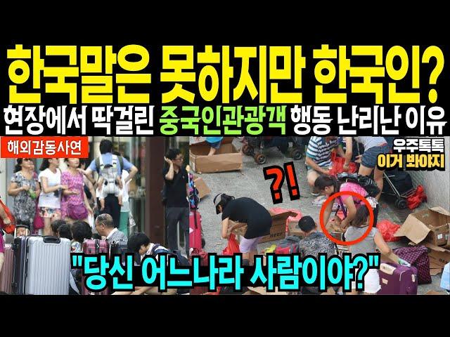 "한국인 아니죠? 한국말 해보세요" 한국인인척 딱걸린 중국인 충격반응, 당신 어느나라 사람이야? [해외감동사연: 모아보기]