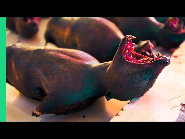 Asia's SCARIEST Meat Market! Dog, Cat, Rat, Bat and more at Tomohon Market in North Sulawesi