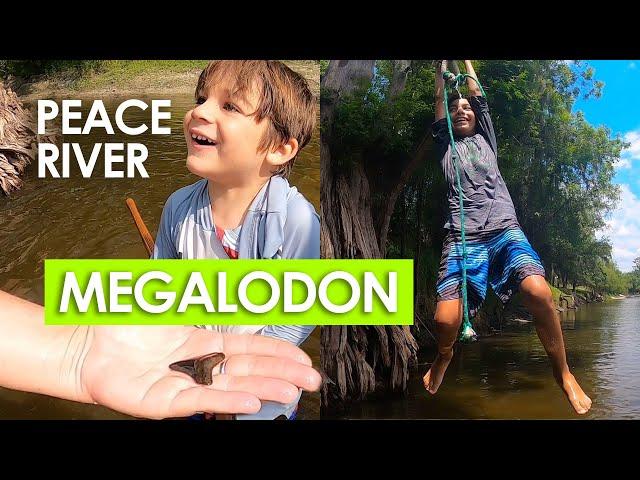 WE FOUND A MEGALODON! Fossil Hunting & Paddling on Peace River in Arcadia, Florida!