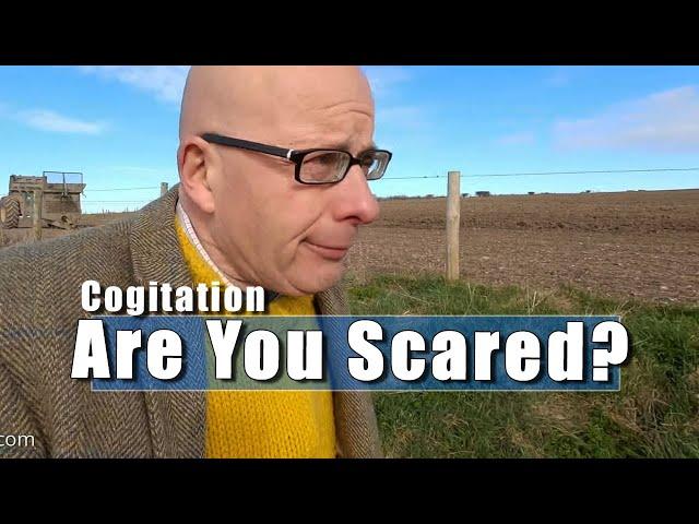 Cogitation - How Frightened Do You Feel At The Moment?