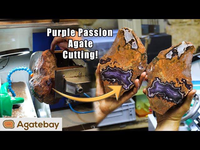 Cutting extreamly valuable and promising big Purple Passion Agates!