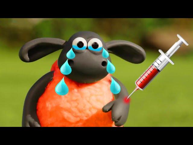 NEW Shaun the Sheep | BEST FUNNY PLAYLIST (PART 1 ) | فيلم كرتون الخروف الشهير شون ذا شيب