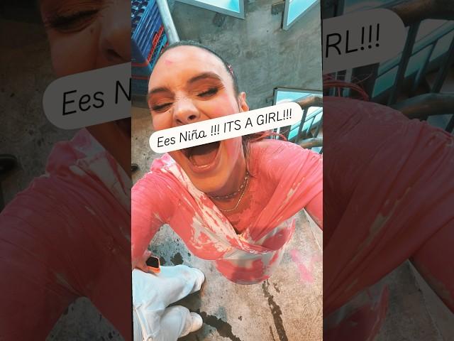 Tremendo gender reveal! Lele Pons y Guaynaa armaron la fiesta del año