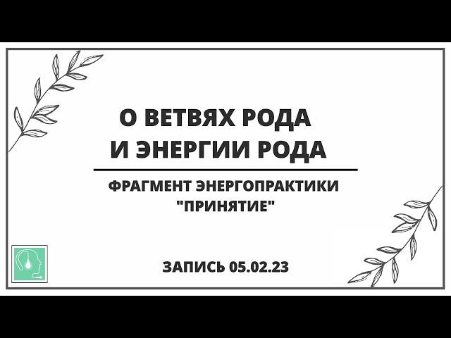 Ветки рода и энергия рода.Фрагмент практики "Принятие" 05.02.2023. Абсолютный ченнелинг.Вопрос-ответ