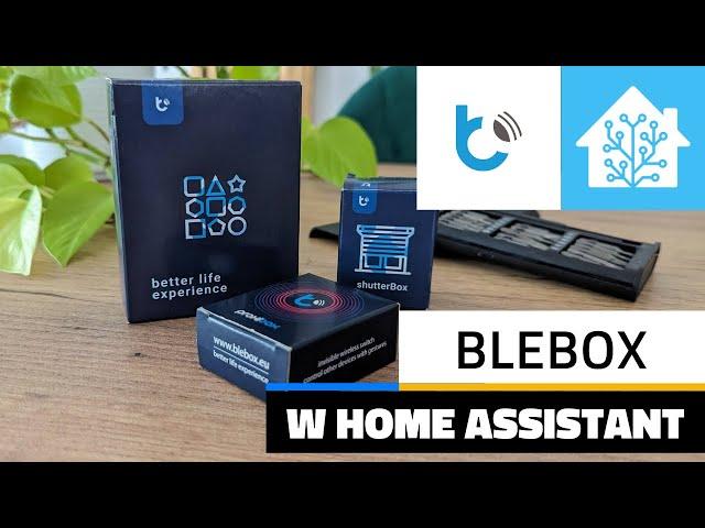 Urządzenia BleBox - poznaj zalety, wady, instalację i integrację z Home Assistant!