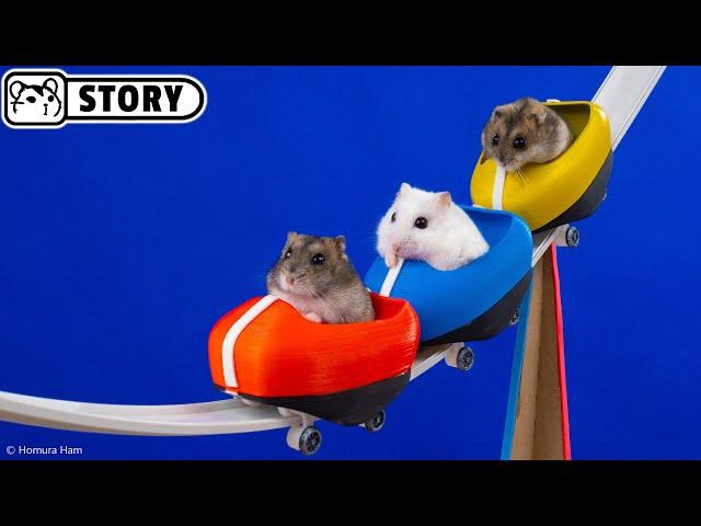 Hamsters on the World's Largest Roller Coaster in the Amusement Park Maze - Shorts  Homura Ham