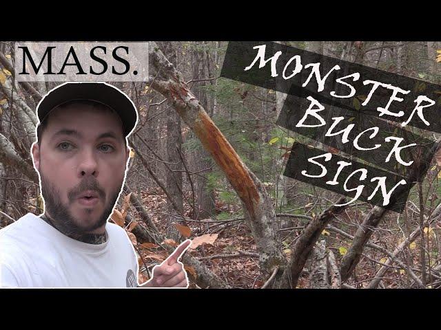 A Hunters Life Vlog Series: Ep. 5 | MONSTER BUCK sign in MASSACHUSETTS!