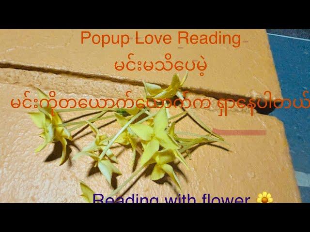 Collective Love  flower Popup Reading️‍️‍️‍မင်းမသိပေမဲ့မင်းကိုလူတစ်ယောက်ကရှာ​နေပါတယ်