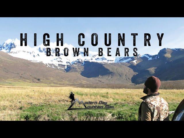 High Country Brown Bears, Alaska Brown Bear Hunting