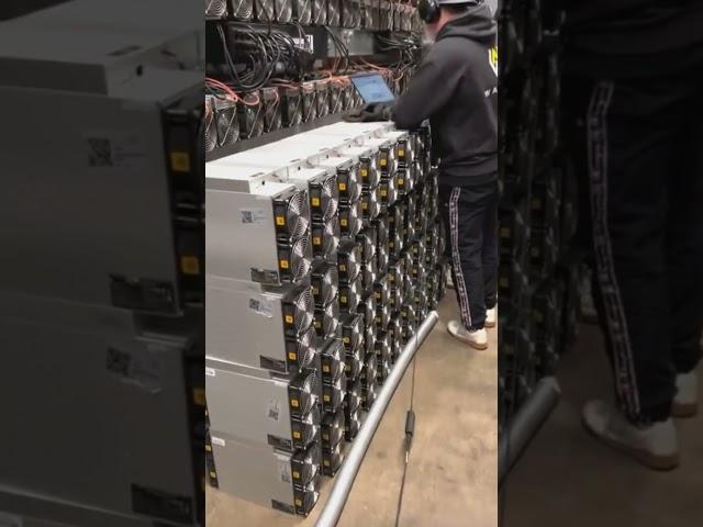Weekdays of Wattum #bitcoin #bitcoinmining #Wattum #miningbitcoin #s19 #crypto