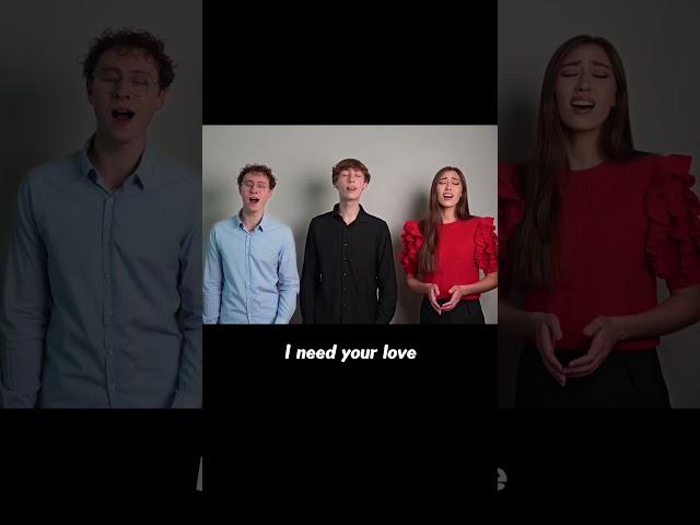 Lifein3d | Unchained Melody | Righteous Brothers #coversong #singing #siblings #classic #harmony