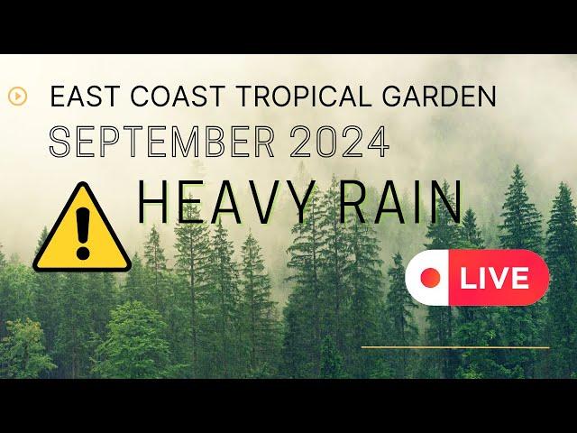 Gorleston Garden Live Webcam Current Weather #rain #wind #garden #live