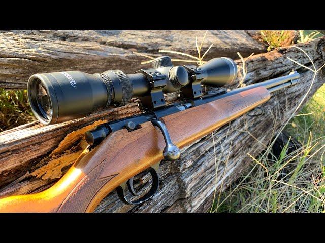 Marlin Model 783 22 Magnum - Part 1- First Shoot & Ammo Test - Reloader Joe #24