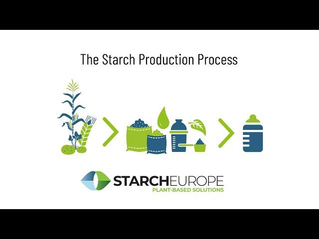 The Starch Production Process