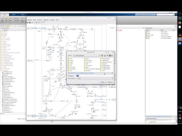 CNA Tutorial 6: Exporting/Importing SBML models and creation of new projects