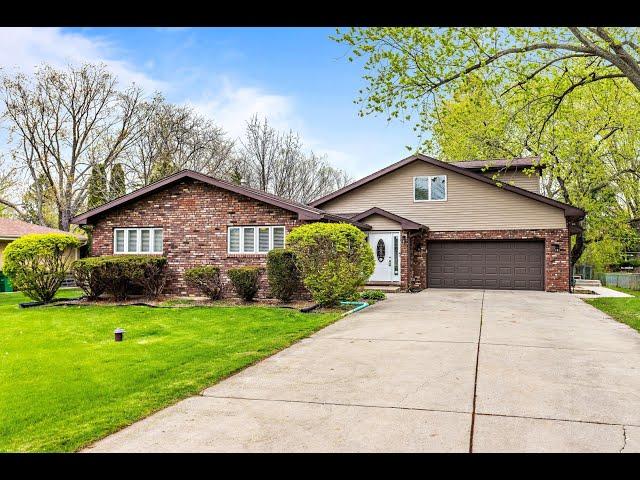 Ana Zuniga|16431 Leslie Ann Drive|Tinley Park, IL