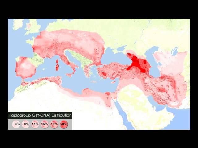 Y-DNA Haplogroup in world