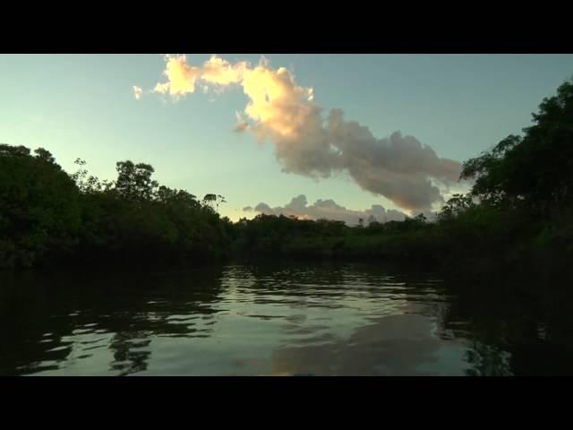 the Prouty Project - Stretch Expedition: Peruvian Amazon