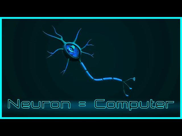 A Single Neuron Is a Surprisingly Complex Little Computer