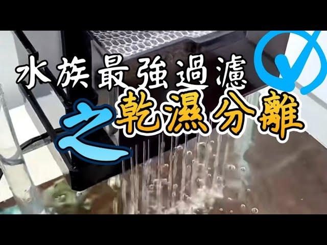 水族最強過濾機制--乾濕分離