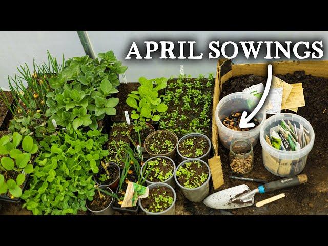 What to Sow in April for Self-Sufficiency