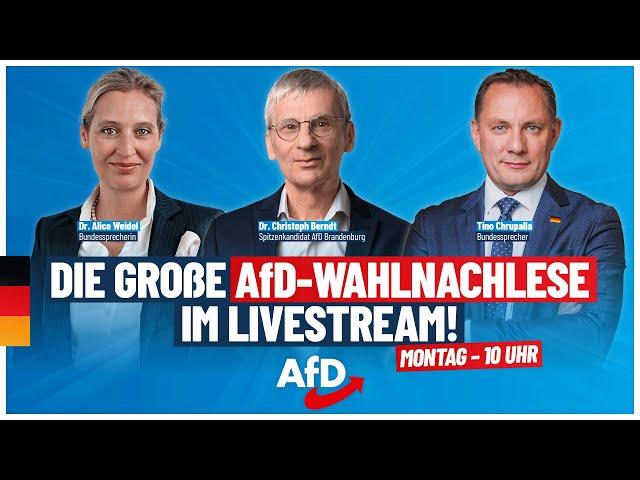 Wahlnachlese Brandenburg: Alice Weidel, Tino Chrupalla & Christoph Berndt! - AfD