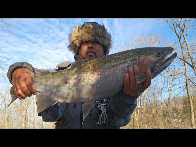 Steelhead Fishing In December On Ohio's Lake Erie Tributary!!