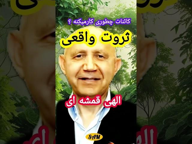 ثروت واقعی: الهی قمشه ای/ کائنات چطوری کار میکند؟
