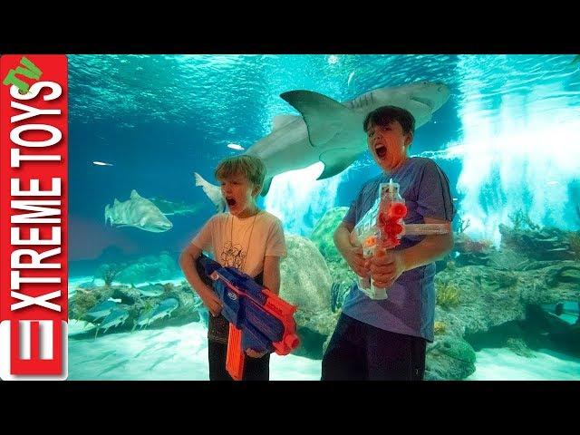 Teleport Trouble Part 2! Nerf Battle in the Aquarium!