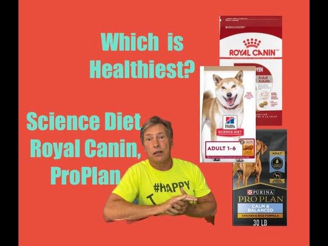 Science Diet, ProPlan, Royal Canin! Which is healthiest for an adult dog?