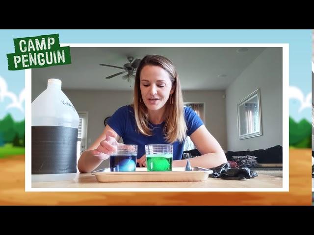 Kate the Chemist | Make a Bouncy Egg | Science Experiments for Kids